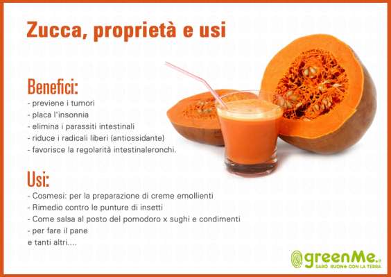 zucca_infografica_hm
